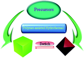 Graphical abstract: Shape controlled growth of pyrite FeS2 crystallites via a polymer-assisted hydrothermal route