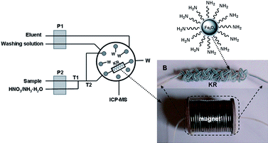 Graphical abstract: Magnetic immobilization of amine-functionalized magnetite microspheres in a knotted reactor for on-line solid-phase extraction coupled with ICP-MS for speciation analysis of trace chromium