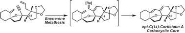 Graphical abstract: Efforts toward rapid construction of the cortistatin A carbocyclic core via enyne-ene metathesis