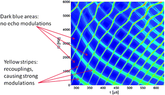 Graphical abstract: Apparent transverse relaxation rates in systems with coupled carbon-13 spins