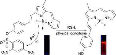 Graphical abstract: Design and synthesis of a highly selective fluorescent turn-on probe for thiol bioimaging in living cells