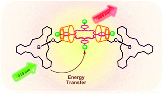 Graphical abstract: Formation and energy transfer property of a subphthalocyanine–porphyrin complex held by host–guest interactions