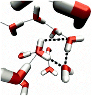 Graphical abstract: The OH stretch vibration of liquid water reveals hydrogen-bond clusters