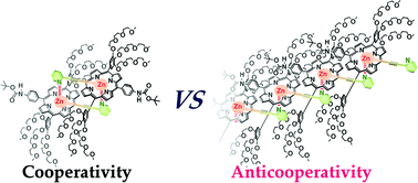 Graphical abstract: Ligand-assisted J-type aggregates of zinc porphyrin: anticooperative molecular organization in self-assembled bolaamphiphile