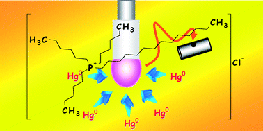 Graphical abstract: Cold vapor ionic liquid-assisted headspace single-drop microextraction: A novel preconcentration technique for mercury species determination in complex matrix samples