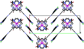 Graphical abstract: Synthesis, characterization and biological evaluation of In(iii) complexes anchored by DOTA-like chelators bearing a quinazoline moiety