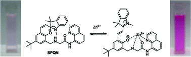 Graphical abstract: A colorimetric and fluorescent turn-on chemosensor operative in aqueous media for Zn2+ based on a multifunctionalized spirobenzopyran derivative