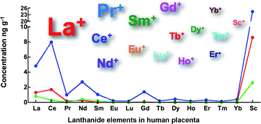 Graphical abstract: Lanthanide distribution in human placental tissue by membrane desolvation-ICP-MS