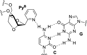 Graphical abstract: 2′,4′-BNA bearing a 2-pyridine nucleobase for CG base pair recognition in the parallel motif triplex DNA