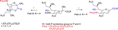 Graphical abstract: Reaction of N-acetylneuraminic acid derivatives with perfluorinated anhydrides: a short access to N-perfluoracylated glycals with antiviral properties