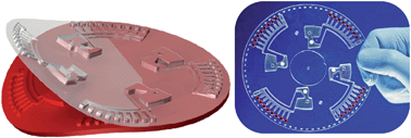 Graphical abstract: Microstructuring of polymer films for sensitive genotyping by real-time PCR on a centrifugal microfluidic platform