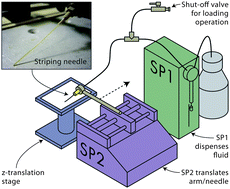 Graphical abstract: Laboratory-scale protein striping system for patterning biomolecules onto paper-based immunochromatographic test strips