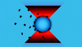 Graphical abstract: Polymer adsorption onto a micro-sphere from optical tweezers electrophoresis