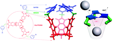 Graphical abstract: Controlling the dynamics of molecular encapsulation and gating