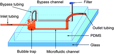 Graphical abstract: A simple PDMS-based microfluidic channel design that removes bubbles for long-term on-chip culture of mammalian cells