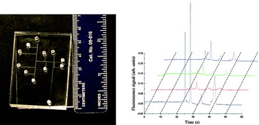 Graphical abstract: Microdevices integrating affinity columns and capillary electrophoresis for multibiomarker analysis in human serum