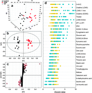 Graphical abstract: Urinary metabonomics study in a rat model in response to protein-energy malnutrition by using gas chromatography-mass spectrometry and liquid chromatography-mass spectrometry