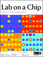 Graphical abstract: Introducing LOC: Art on a Chip