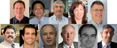 Graphical abstract: Meet the Food & Function Editorial Board