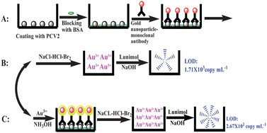 Graphical abstract: Ultrasensitive detection of porcine circovirus type 2 using gold(iii) enhanced chemiluminescence immunoassay