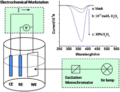 Graphical abstract: A highly sensitive H2O2 sensor based on zinc oxide nanorod arrays film sensing interface