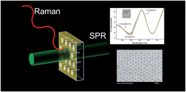 Graphical abstract: Nanohole arrays in chemical analysis: manufacturing methods and applications