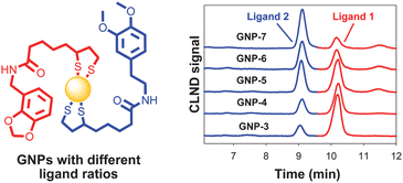 Graphical abstract: Structural confirmation and quantification of individual ligands from the surface of multi-functionalized gold nanoparticles