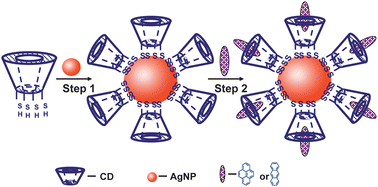 Graphical abstract: Sensing of polycyclic aromatic hydrocarbons with cyclodextrin inclusion complexes on silver nanoparticles by surface-enhanced Raman scattering