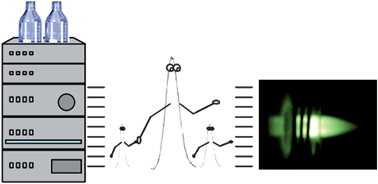 Graphical abstract: Simultaneous analysis of mercury and selenium species including chiral forms of selenomethionine in human urine and serum by HPLC column-switching coupled to ICP-MS