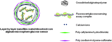 Graphical abstract: Glucose response of dissolved-core alginate microspheres: towards a continuous glucose biosensor