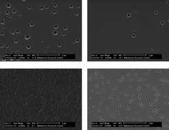 Graphical abstract: Strength of interactions between immobilized dye molecules and sol–gel matrices