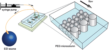 Graphical abstract: Multi-channel microfluidic devices combined with electrospray ionization quadrupole time-of-flight mass spectrometry applied to the monitoring of glutamate release from neuronal cells