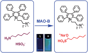 Graphical abstract: A direct continuous fluorometric turn-on assay for monoamine oxidase B and its inhibitor-screening based on the abnormal fluorescent behavior of silole