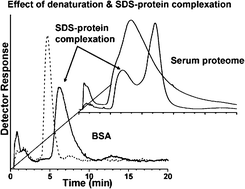 Graphical abstract: Effect of sodium dodecyl sulfate on protein separation by hollow fiber flow field-flow fractionation