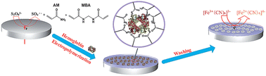 Graphical abstract: Protein molecularly imprinted polyacrylamide membrane: for hemoglobin sensing