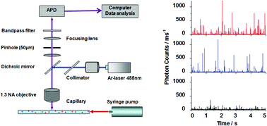 Graphical abstract: Characterization of the effect of physiological cations on quantum dots by using single-particle detection