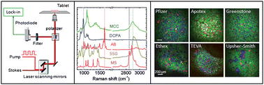 Graphical abstract: Vibrational imaging of tablets by epi-detected stimulated Raman scattering microscopy