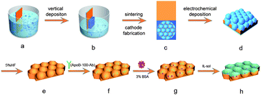 Graphical abstract: Room-temperature ionic liquid assisted fabrication of sensitive electrochemical immunosensor based on ordered macroporous gold film