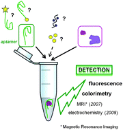 Graphical abstract: Homogeneous assays using aptamers