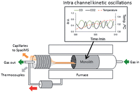 Graphical abstract: SpaciMS: spatial and temporal operando resolution of reactions within catalytic monoliths