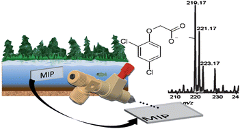 Graphical abstract: Desorption electrospray ionization-mass spectrometry for the detection of analytes extracted by thin-film molecularly imprinted polymers