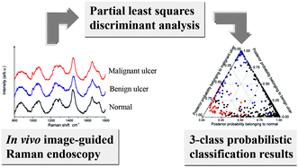 Graphical abstract: Raman endoscopy for in vivo differentiation between benign and malignant ulcers in the stomach
