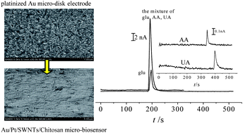 Graphical abstract: Glucose in human serum determined by capillary electrophoresis with glucose micro-biosensor