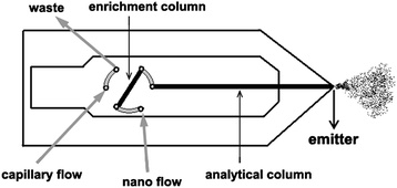 Graphical abstract: Characterization and evaluation of two-dimensional microfluidic chip-HPLC coupled to tandem mass spectrometry for quantitative analysis of 7-aminoflunitrazepam in human urine