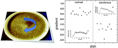 Graphical abstract: Detection of cancerous cervical cells using physical adhesion of fluorescent silica particles and centripetal force