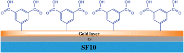 Graphical abstract: A novel surface plasmon resonance enhanced total internal reflection ellipsometric application: electrochemically grafted isophthalic acid nanofilm on gold surface