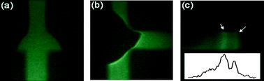 Graphical abstract: Online transient isotachophoresis concentration by the pseudo-terminating electrolyte buffer for the separation of DNA–aptamer and its thrombin complex in poly(methyl methacrylate) microchip