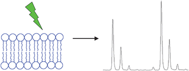 Graphical abstract: The reproducibility of phospholipid analyses by MALDI-MSMS