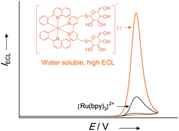 Graphical abstract: High electrochemiluminescence of a new water-soluble iridium(iii) complex for determination of antibiotics