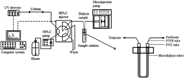 Graphical abstract: Dialysis sampling on-line coupled with high-performance liquid chromatography for simultaneous investigation of the interactions between multi-components in herbs and the albumin